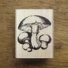 Stempel Paddenstoelen p/st hout