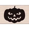 Stempel pompoen hoofd 5x5cm p/st hout