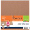 Karton kraft 30.5x30.5cm 300gr p/20vel Florence
