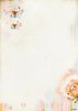 Papier nr.252 A4 So Spring p/vel