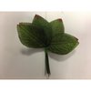 Bladeren 6x4cm p/12st groen