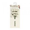 Bloemen wit Curly Rose 20mm p/12st