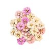 Bloemen Moonchild Constellation p/set