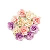 Bloemen Moonchild Gamma-Ray p/set