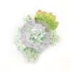 Bloemen Santa Baby Frosted p/set
