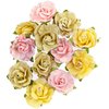 Bloemen Sweet Grapefruit/Fruit Paradise p/12st