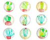 Cabochons/plakstenen cactus print 25mm p/10st glas