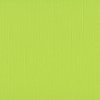 Cardstock limegroen 30.5x30.5cm texture 216gr p/vel