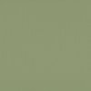 Cardstock Acacia 30.5x30.5cm texture 216gr p/vel