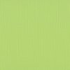 Cardstock Celery 30.5x30.5cm texture 216gr p/vel