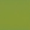 Cardstock Fern 30.5x30.5cm texture 216gr p/vel