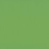 Cardstock Frog 30.5x30.5cm texture 216gr p/vel