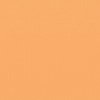 Cardstock grapefruit 30.5x30.5cm p/vel texture 216gr