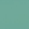 Cardstock Iguana 30.5x30.5cm texture 216gr p/vel