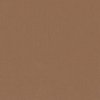 Cardstock Lion 30.5x30.5cm texture 216gr p/vel