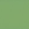 Cardstock Moss 30.5x30.5cm texture 216gr p/vel