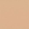 Cardstock Parchment 30.5x30.5cm texture 216gr p/vel