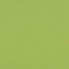 Cardstock Pistachio 30.5x30.5cm texture 216gr p/vel