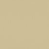 Cardstock Salamander 30.5x30.5cm texture 216gr p/vel