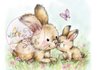Clear stamp Spring Bunnies A7 p/st