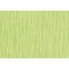 Crepepapier lichtgroen 50cm p/250cm 