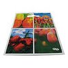 Draagtas 20x30cm p/50st plastic Tulp full colour 