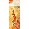 Stans Klimop p/st
