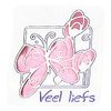 Stickers Veel liefs vlinder  inhoud 20 stuks roze