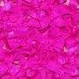 Strik knal fuchsia satijn 24mm p/5st serie2