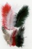 Veren rood/groen p/18st Marabou&amp;Guinea