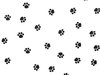 Vloeipapier poot paws 50x75cm p/12vel