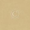 Cardstock Palette Ocra1 30.5x30.5cm p/vel 
