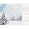 Scrappapier Frosted Scrapbook Paper Wintery 30.5x30.5cm p/vel