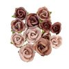 Bloemen Golden Desert Sahara p/set