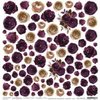 Scrappapier Plum in Chocolate bloemen XXV 30.5x30.5cm p/vel