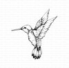 Stamp kolibrie 79x86mm p/st rubber unmounted