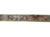 Lint groen Floral bloemen 25mm p/mtr
