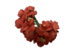 Bloemen rood 20mm p/10st