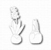 Stans Hyacinth p/2st 