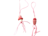 Gelukspop flesjes/speentjes p/25st 2cm roze