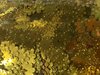 Strooi confetti goud pailletten p/15 bloem