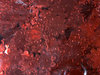 Strooi confetti rood pailletten p/15 bloem