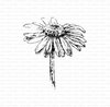 Stamp Daisy bloem 73x83mm p/st rubber unmounted 