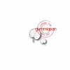 Stans loofboom bladeren p/2st