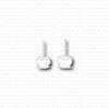 Stans Suikerappel p/2st
