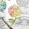 Stans hortensia p/2st