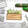 Stans plantenbak met groente p/5st