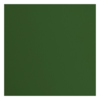 Cardstock pine 30.5x30.5cm texture 216gr p/vel