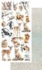 Scrappapier Memory of Spring plaatjes beesten 15x30cm p/vel