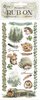 Herbarium Silvae Rub-On 10x21cm Forest  